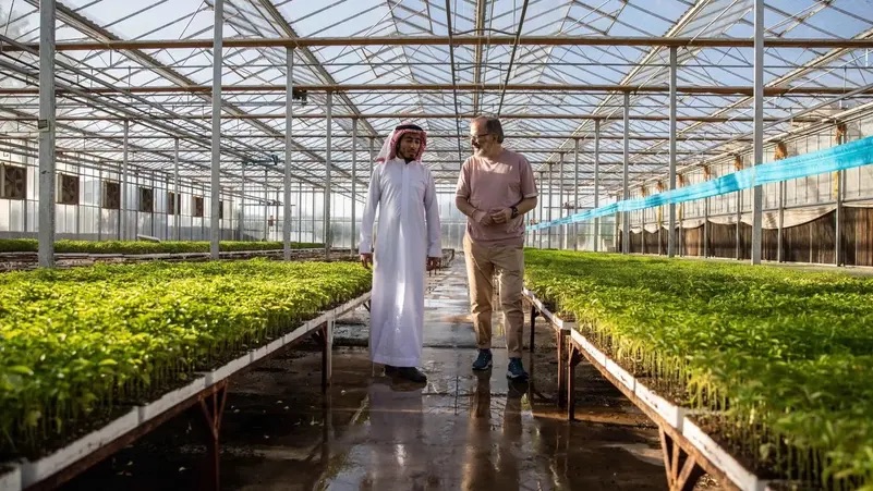 Saudi Arabia’s $500 Billion Mega Project Neom Has Announced An Initiative To Inspire And Nurture A New Generation Of Saudi Chefs As Part Of Its Ambitious Goal To Become “the World’s Most Food Self Sufficient Cit